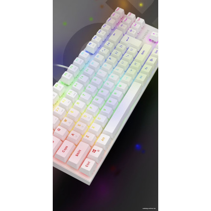Клавиатура Genesis Thor 303 TKL RGB (белый, нет кириллицы)