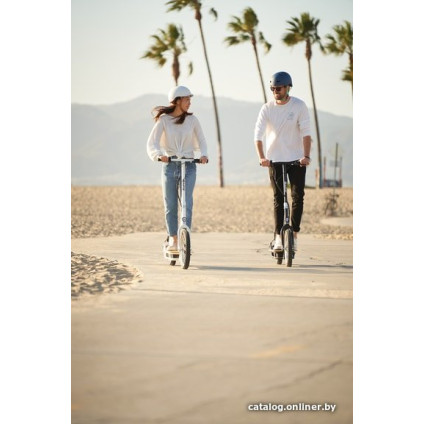 Электросамокат Razor EcoSmart SUP (черный)