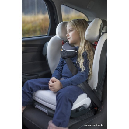 Детское автокресло BeSafe iZi Flex FIX i-Size (peak mesh)