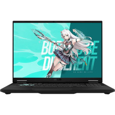 Игровой ноутбук ASUS TUF Gaming Tianxuan F16 FX608LM255-0EAEXHB8X10