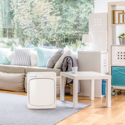 Очиститель воздуха Webber AP8410