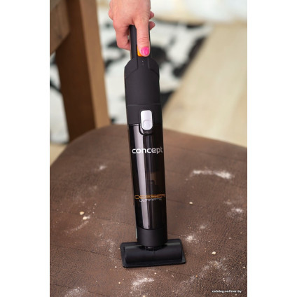 Пылесос Concept VP4410