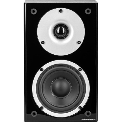 Полочная акустика WILSON Raptor Mini (черный)