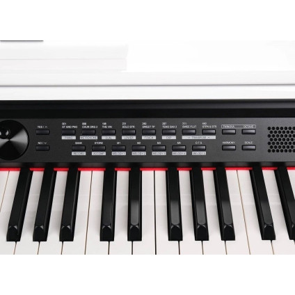 Цифровое пианино Medeli DP330 (белый)