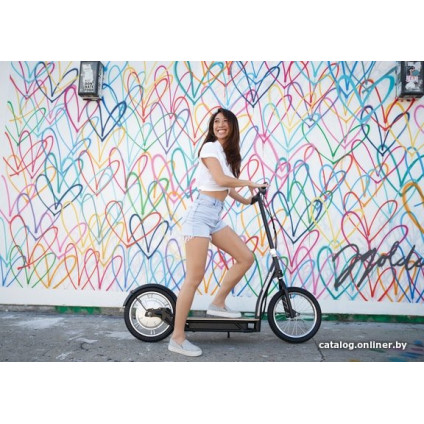 Электросамокат Razor EcoSmart SUP (черный)