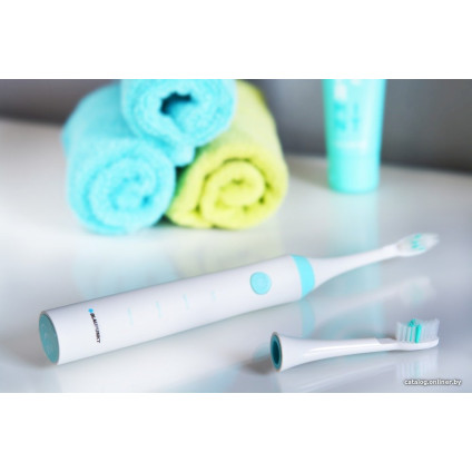 Электрическая зубная щетка Blaupunkt DTS612