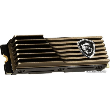 SSD MSI Spatium M570 HS 2TB S78-440Q560-P83