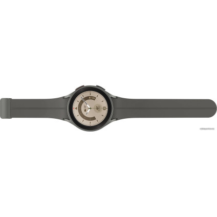 Умные часы Samsung Galaxy Watch 5 Pro 45 мм (серый титан)
