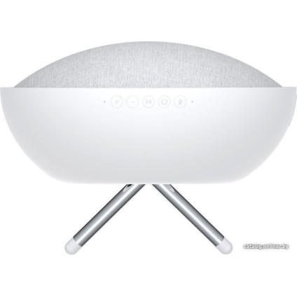 Беспроводная аудиосистема Defunc Home Large (белый)