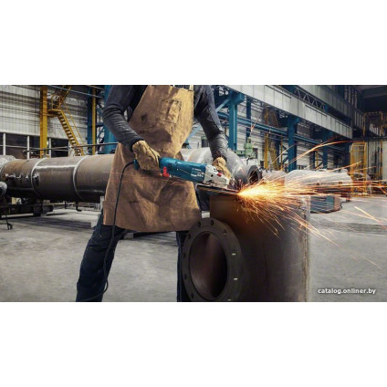 Угловая шлифмашина Bosch GWS 24-230 JZ Professional 06018C3300