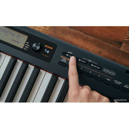 Цифровое пианино Casio CDP-S360