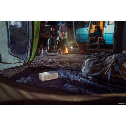 Беспроводная колонка Philips TAS4807W/00