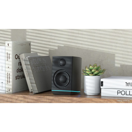 Акустика FiiO SP3 (черный)