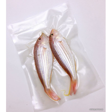 Вакуумный упаковщик CASO GourmetVAC 180