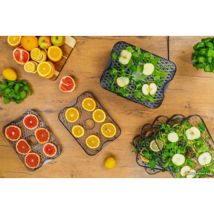 Сушилка для овощей и фруктов Goetze & Jensen FD800