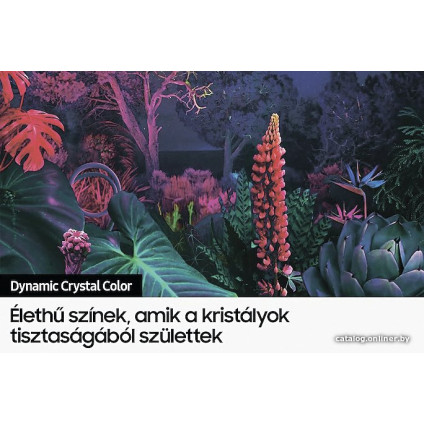 Телевизор Samsung Crystal UHD BU8002 UE55BU8002K