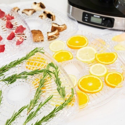 Сушилка для овощей и фруктов MPM MSG-12