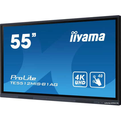 Интерактивная панель Iiyama ProLite TE5512MIS-B1AG