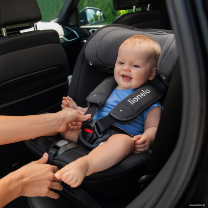 Детское автокресло Lionelo Bastiaan RWF i-Size (серый)
