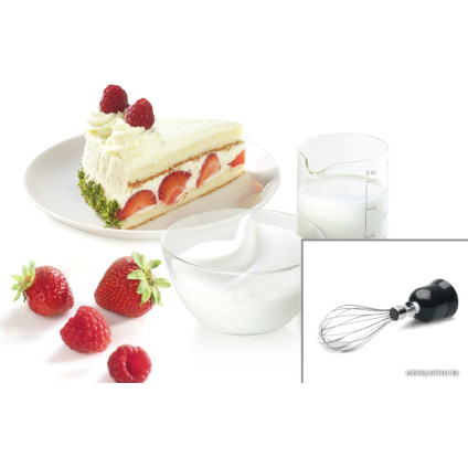 Погружной блендер Bosch MSM2650B