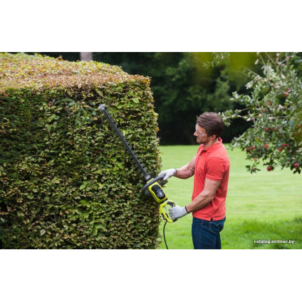 Кусторез Ryobi RHT6160RS