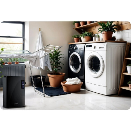 Осушитель воздуха Berdsen BR-22A (чёрный)