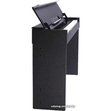 Цифровое пианино Medeli СDP5000 (черный)