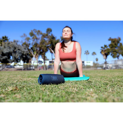 Беспроводная колонка JBL Charge 5 (розовый)