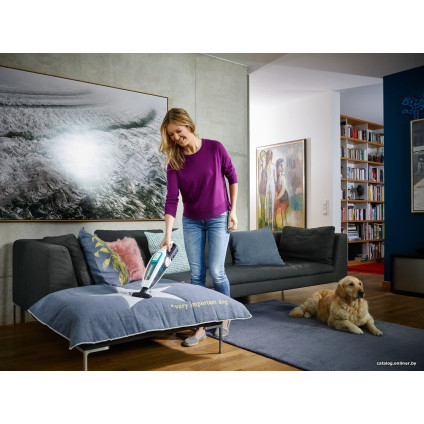 Пылесос Leifheit Regulus PowerVac 2w1 11926