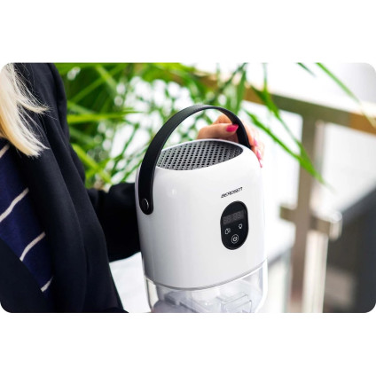 Осушитель воздуха Berdsen BR-10B (белый)