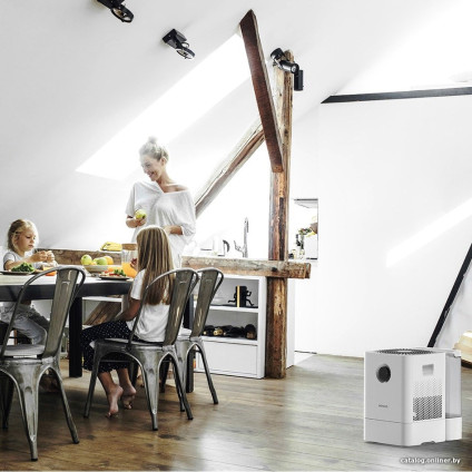 Мойка воздуха Boneco Air-O-Swiss W300