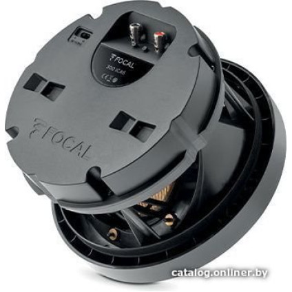 Focal 300 ICA6