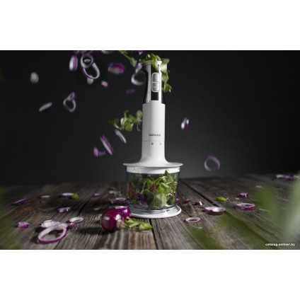 Погружной блендер Concept TM4910