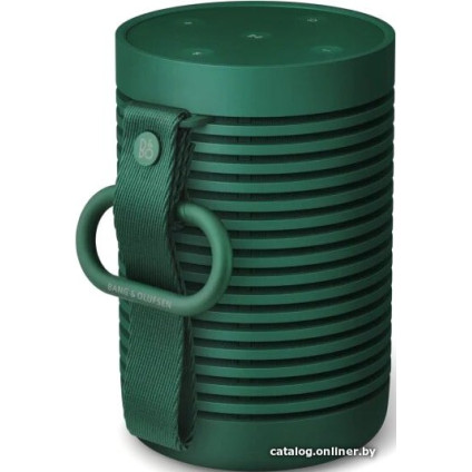 Беспроводная колонка Bang & Olufsen Beosound Explore (зеленый)