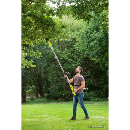 Сучкорез Ryobi RY18PLA-0 (без АКБ)