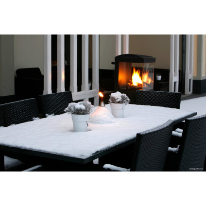 Биокамин Faber theBUZZ