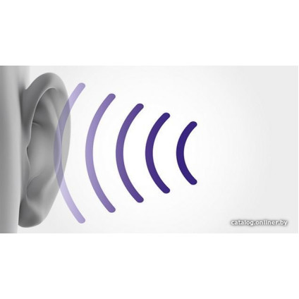 Пылесос Dyson Cinetic Big Ball Absolute 2 228415-01