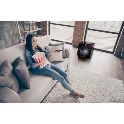 Проводной сабвуфер Magnat Omega CS 12