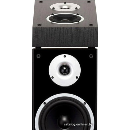 Дипольная WILSON Raptor X (черный)