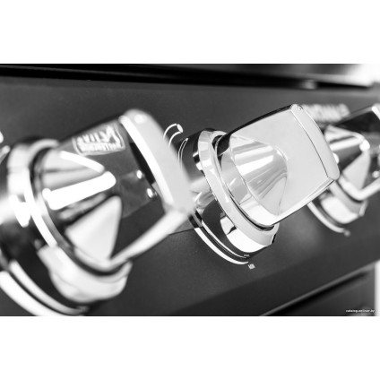 Газовый гриль для дачи Activa Montana III 19785G