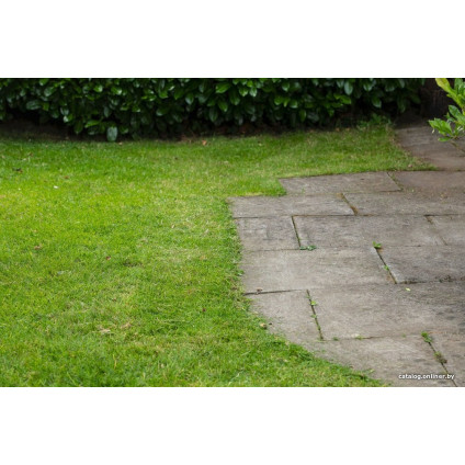 Триммер Ryobi Подрезчик кромок RY18EGA-0 (без АКБ)