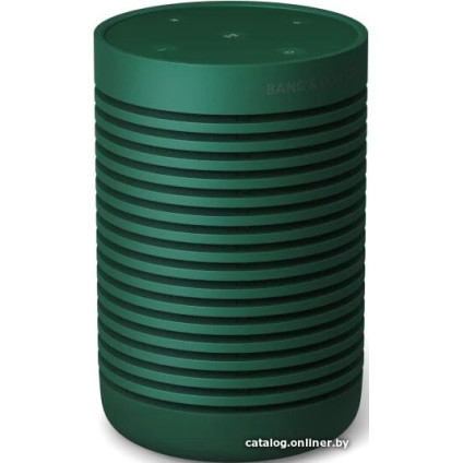 Беспроводная колонка Bang & Olufsen Beosound Explore (зеленый)