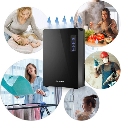 Осушитель воздуха Berdsen BR-22A (чёрный)