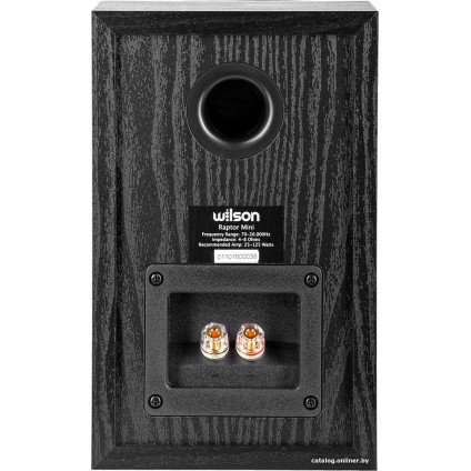 Полочная акустика WILSON Raptor Mini (черный)