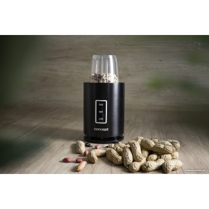 Стационарный блендер Concept SM1500