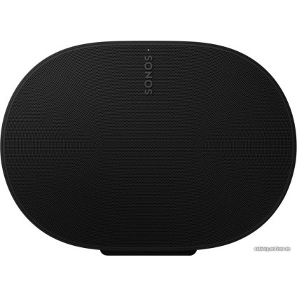 Беспроводная аудиосистема Sonos Era 300 (черный)