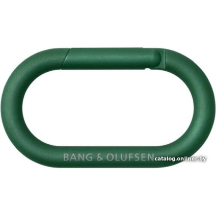 Беспроводная колонка Bang & Olufsen Beosound Explore (зеленый)