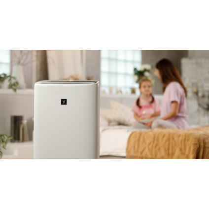 Климатический комплекс Sharp KI-N52EU-L