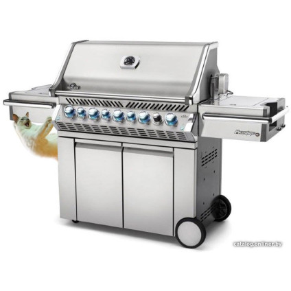Газовый гриль для дачи Napoleon Prestige PRO-665