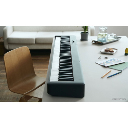 Цифровое пианино Casio CDP-S160 (черный)